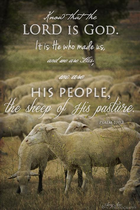 Scripture Picture Psalm 1003 We Are His People The Sheep From His