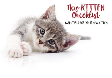 New Kitten Checklist Petpros Seattles Favorite Pet Store