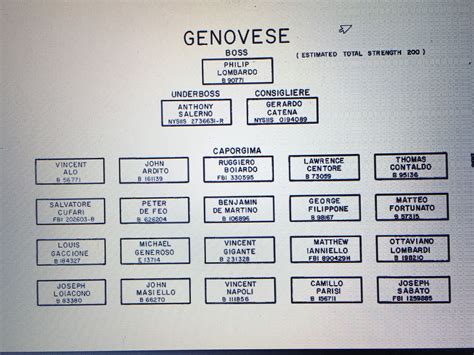 It has been a great revelation to find so many family members after so many years. Genovese Crime Family c. 1980 | Mafia families, Crime ...