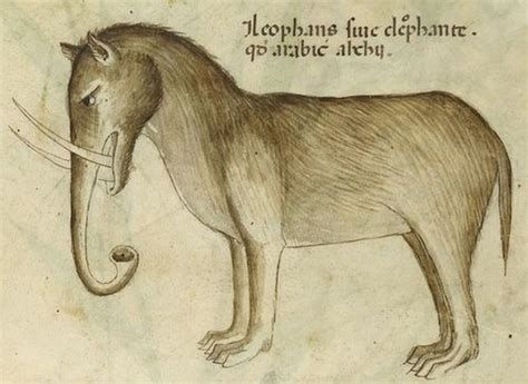 How Artists In The Middle Ages Drew Elephants Based On Traveler