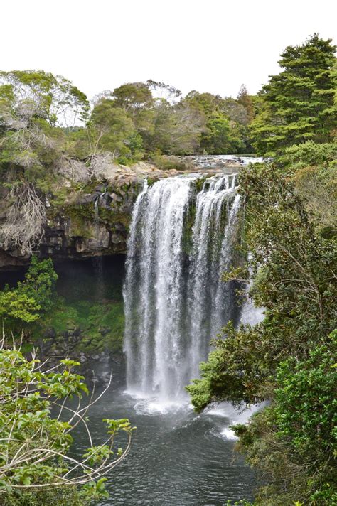 Wallpaper Waterfall Nature Stream New Zealand Rainforest