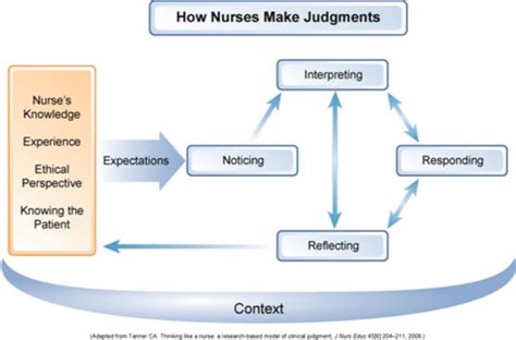 Professional Nursing Clinical Judgement And The Nursing Process