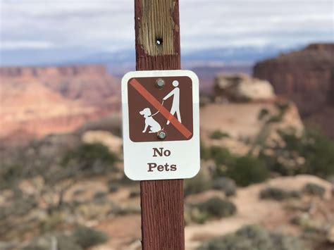 Are Companion Dogs Allowed In National Parks