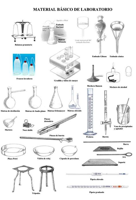 Material Básico De Laboratorio De Química