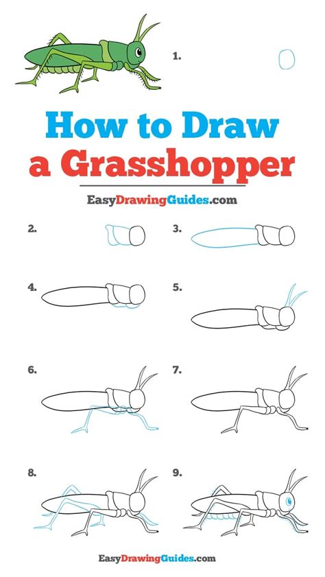 How To Draw A Grasshopper Really Easy Drawing Tutorial