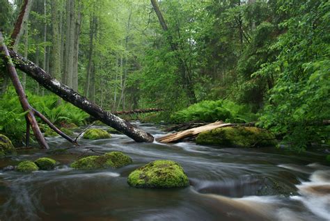 Nature Photography Wikiwand