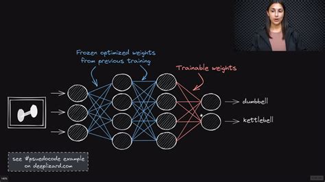 Transfer Learning Fine Tuning Neural Networks Explained Deeplizard