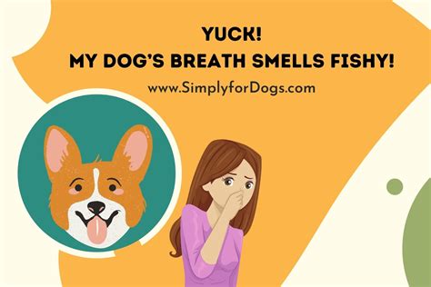 Dogs Breath Smells Archives Simply For Dogs