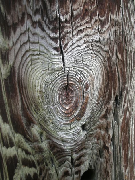 Natural Wood Heart Hearts~in Nature ♥ Pinterest