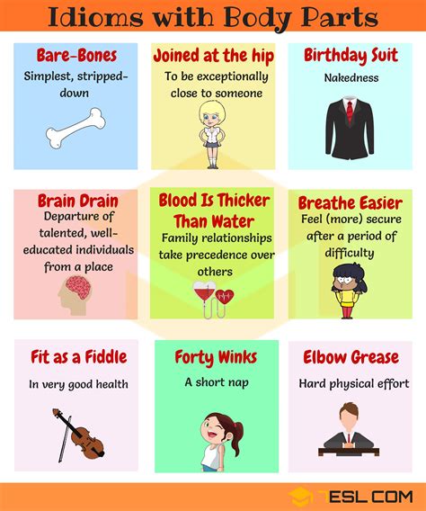 Useful English Idioms With Body Parts Esl Buzz