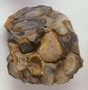 Question 10 81.8s 900 pts la comunicación e caz debe de ser con entonación, sencillez, claridad quizizz. Paleontology | Earth Sciences Quiz - Quizizz