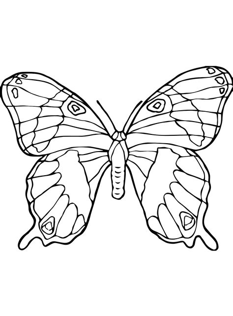 A butterfly's silhouette outlined with a flower pattern. Kids-n-fun.com | Create personal coloring page of Butterflies coloring page