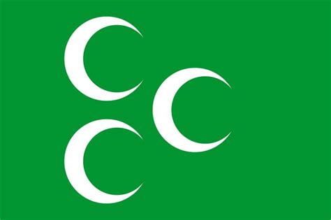 Fileflag Of The Ottoman Caliphatesvg Wikimedia Commons Imagenes