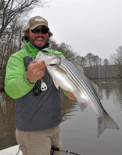 Make The Roanoke River Rock This Month Before The Striper Spawning