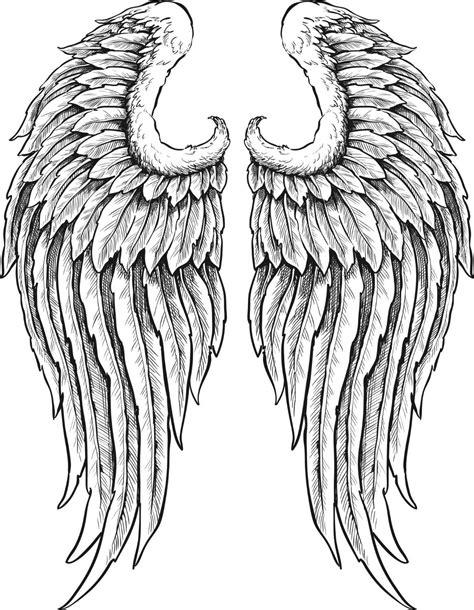 40 Awesome Detailed Angel Wings Images Angel Wings Drawing How To