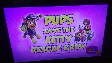 Pups Save The Kitty Rescue Crew Youtube