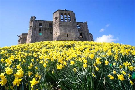 How And Where To Take The Best Photographs Of North East Landmarks And
