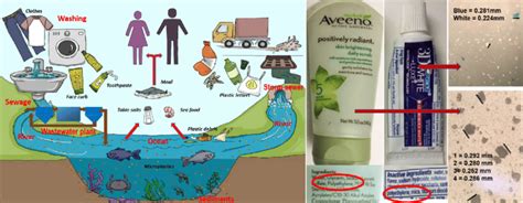 Left Microplastic Pollution In Aquatic Environments And