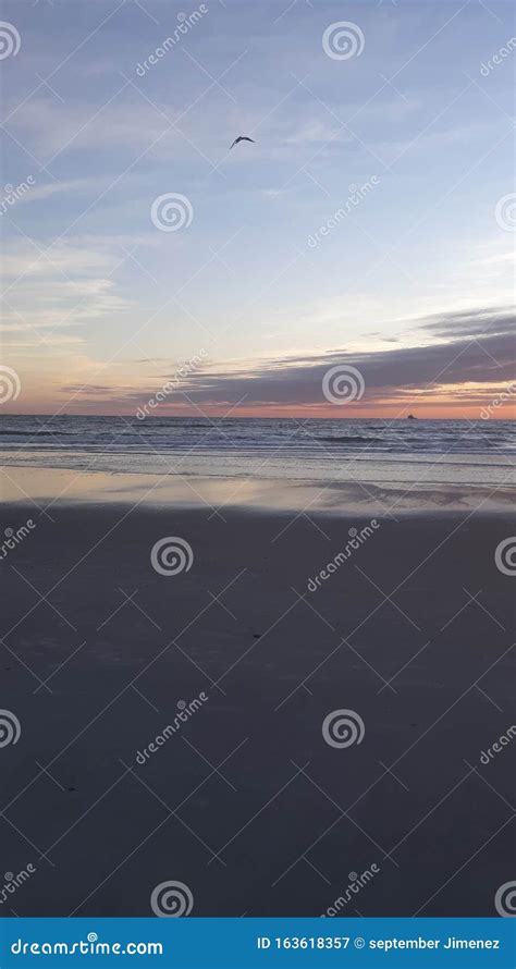 Early Morning Jacksonville Florida Beach Stock Image Image Of Early