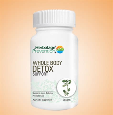 Whole Body Detox Support Detox Capsule At Best Price In Prayagraj