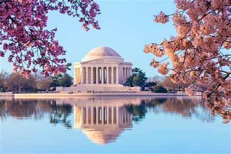 See Washington Dcs Cherry Blossoms Online