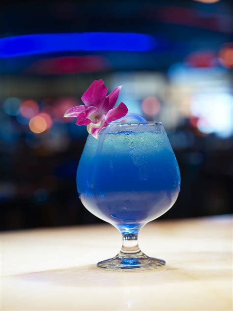 Blue Martini | Las Vegas | Wheretraveler