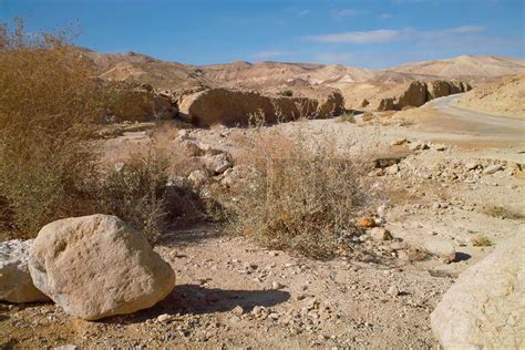 Rocky Desert Landscape In Israel Stock Image Colourbox