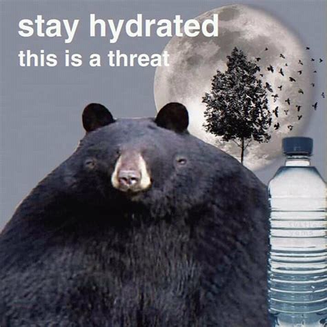 This Is A Threat Stay Hydrated Know Your Meme