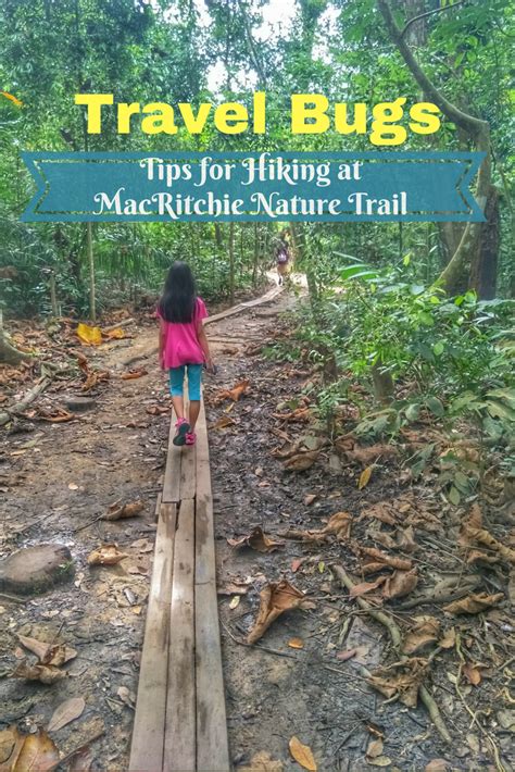 Treetop walk hiking trail | singapore macritchie reservoir. Travel Bugs: Tips for Hiking at MacRitchie Nature Trail