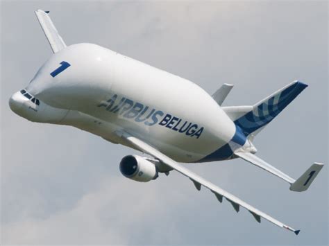 The beluga was designed to carry parts of airbus aircraft around the globe to positions of multiple final assembly lines. Airbus Beluga - Wikipedia