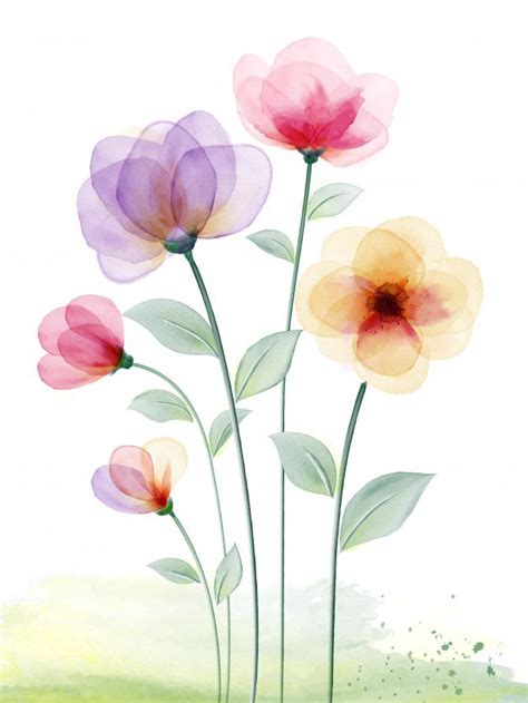 Aquarela Pintada à Mão Com Floral Colorido Vetor Premium Flores