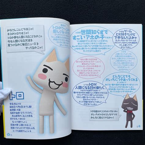 mainichi issho toro kuro okiraku book doko demo issyo from japan with dvd w obi ebay