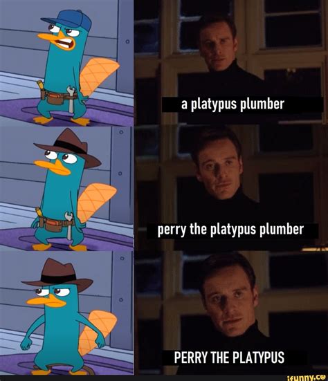Platypus Plumber Perry The Platypus Plumber Perry The Platypus Ifunny