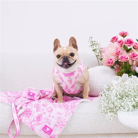 Frenchie Bulldog Frenchie Duo Reversible Harness Toile Pink Toile