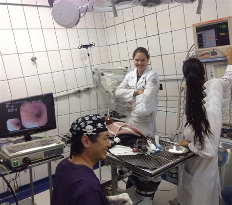 Endoscopia Full 001 Hospital Veterinário Santa Inês