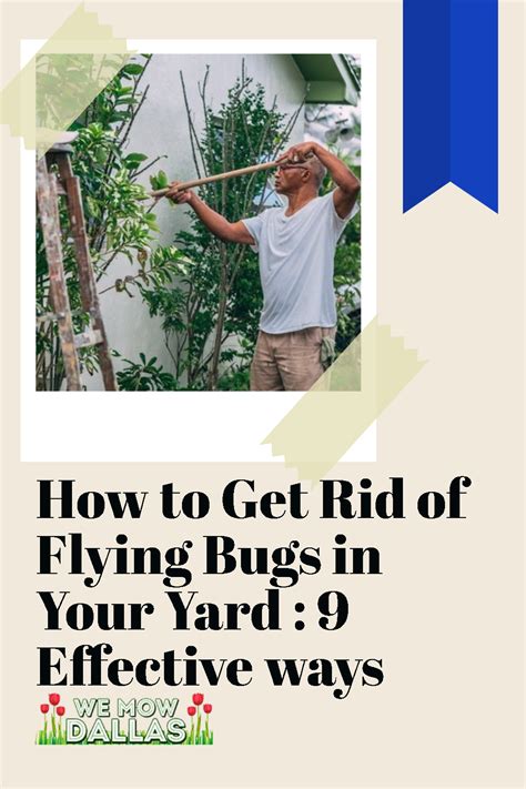 How To Get Rid Of Flying Bugs In Your Yard Types Of Bugs Types Of