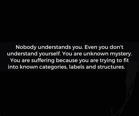 Nobody Understands You Even You Dont Understand Yourself You Are