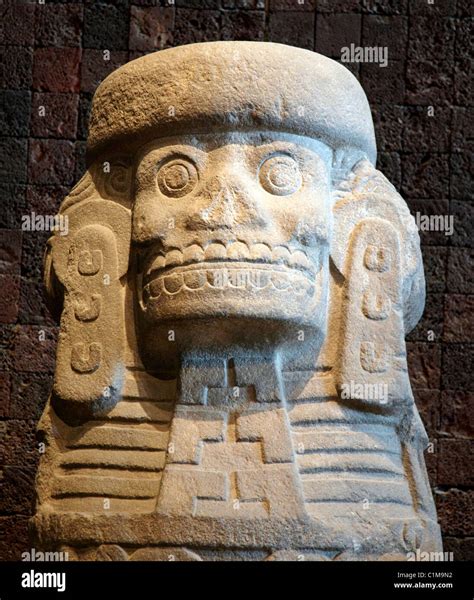 Aztec Stone Skull The Anthropological Museum Mexico City Mexico Stock