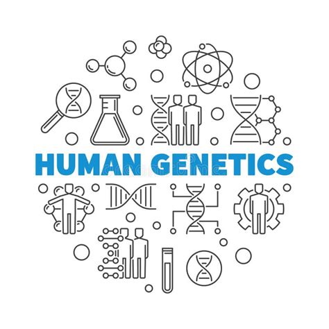 Human Genetics Vector Round Concept Outline Illustration Stock Vector