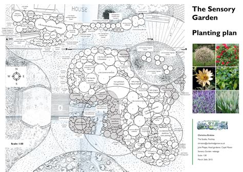 Sensory Garden Planting Plan The Urban Hedgerow