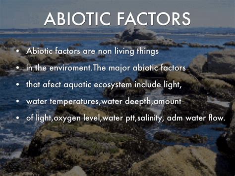 Abiotic Factors In The Ocean Biome