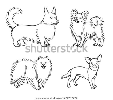 Dogs Different Breeds Outlines Welsh Corgi Stock Vector Royalty Free