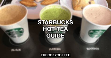 Starbucks Hot Teas 10 Hot Teas At Starbucks To Try