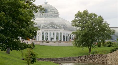 Visit Como Park Zoo And Conservatory In Como Expedia