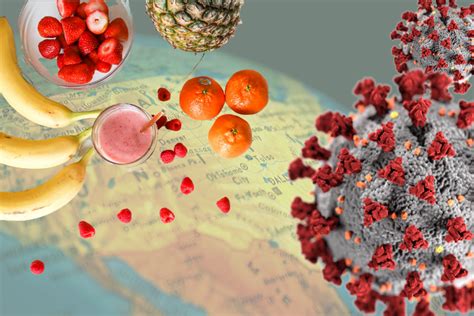 Keeping your immune system in top shape is important, because it's what helps you stay healthy and have the energy to go about your day. The Role of Nutrition in Supporting the Immune System ...