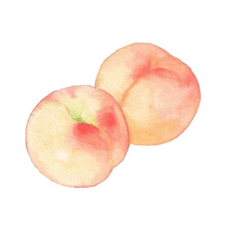Pink Peach Transparent Png Png Play