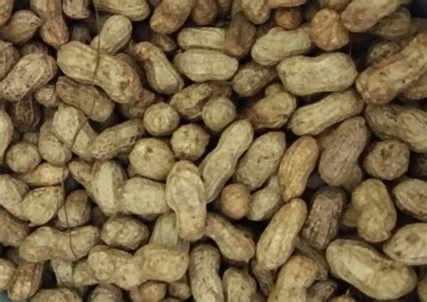 Resep Kacang Rebus 10 Menit Oleh Anggi Ai Cookpad