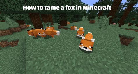 Submitted 9 months ago by tacobandit3. tame a fox in Minecraft | Minecraft Web