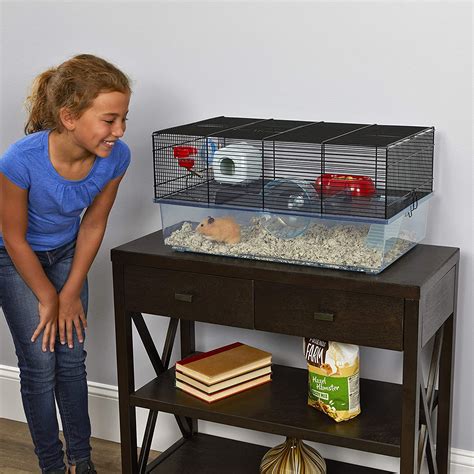 Best Big Hamster Cage 2021 All Pet Cages
