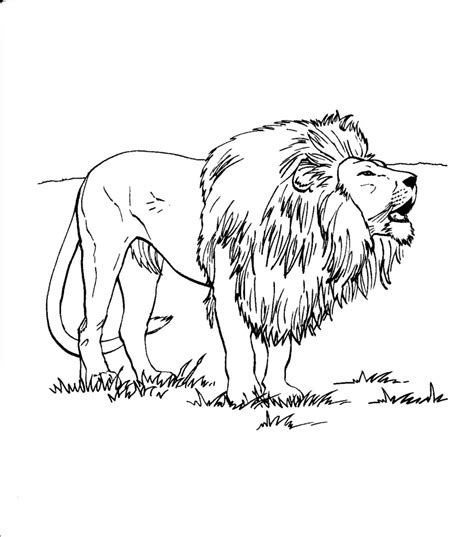 Free Printable Lion Coloring Pages For Kids